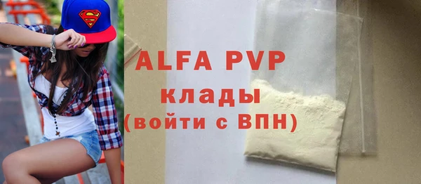 прущие грибы Заволжск