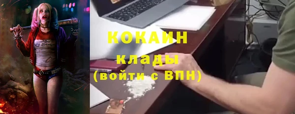 прущие грибы Заволжск