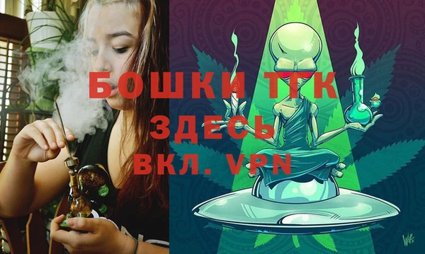 прущие грибы Заволжск