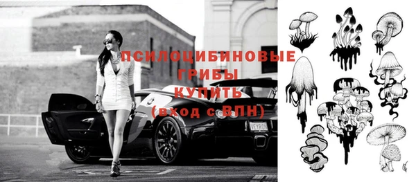 прущие грибы Заволжск