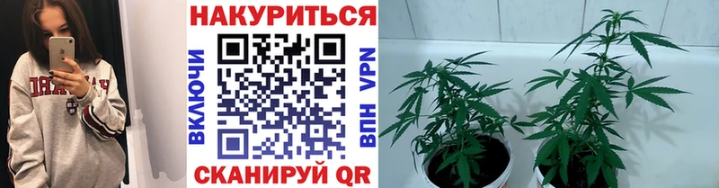 Купить где  Невель  Шишки марихуана VHQ 